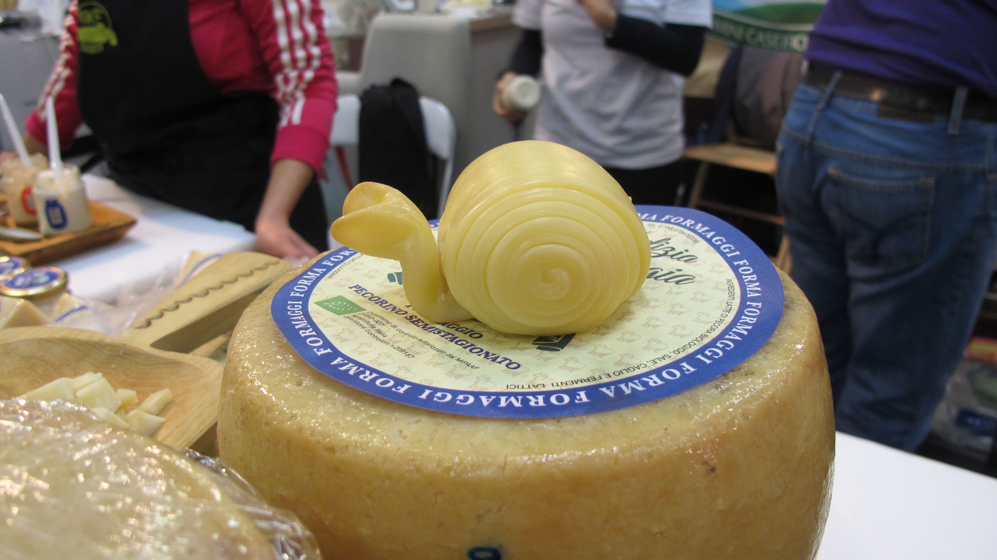 chiocciola di formaggio