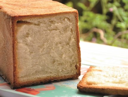 pane-per-sandwich-con-il-bimby-a1031