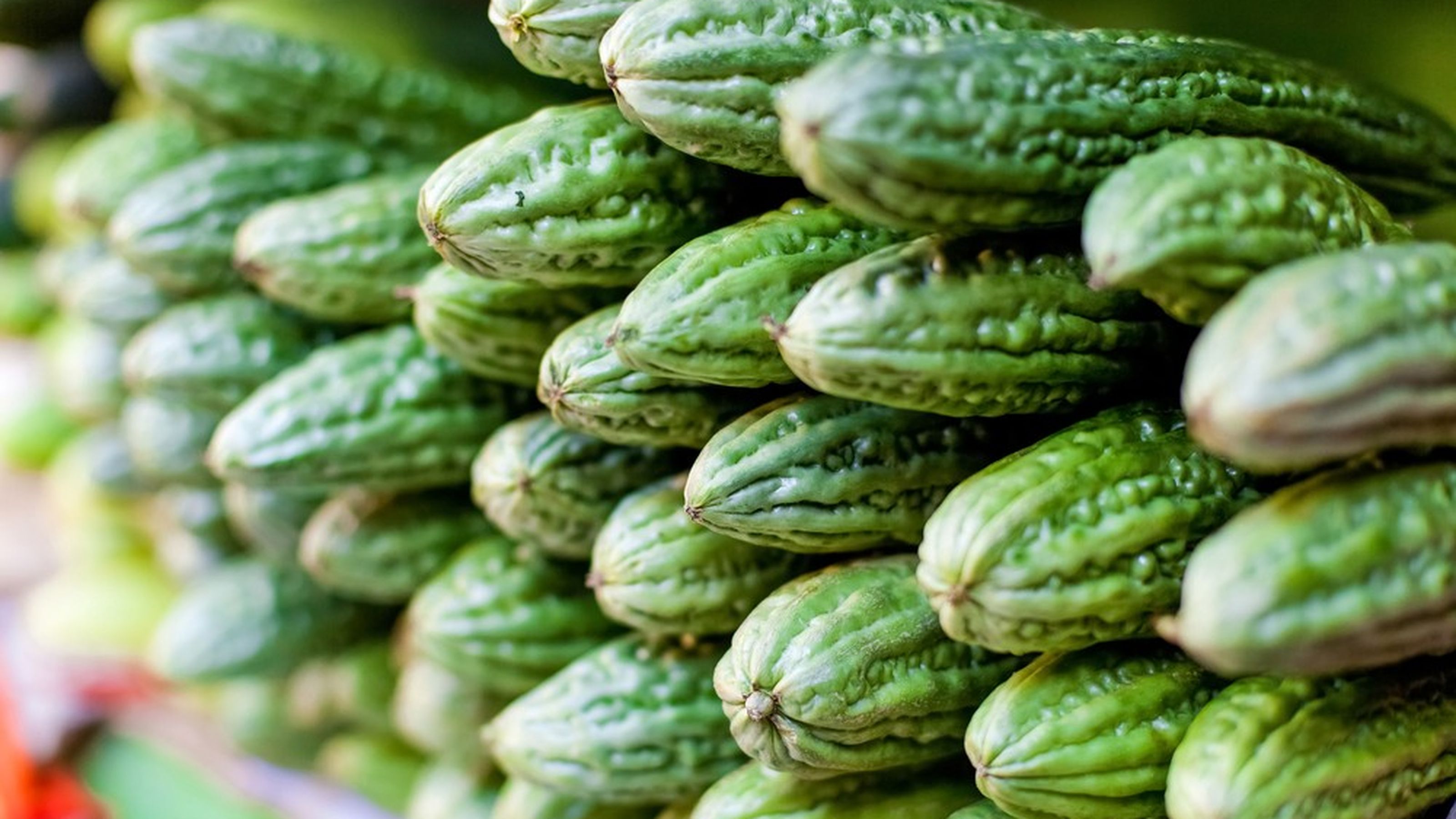 ampalaya