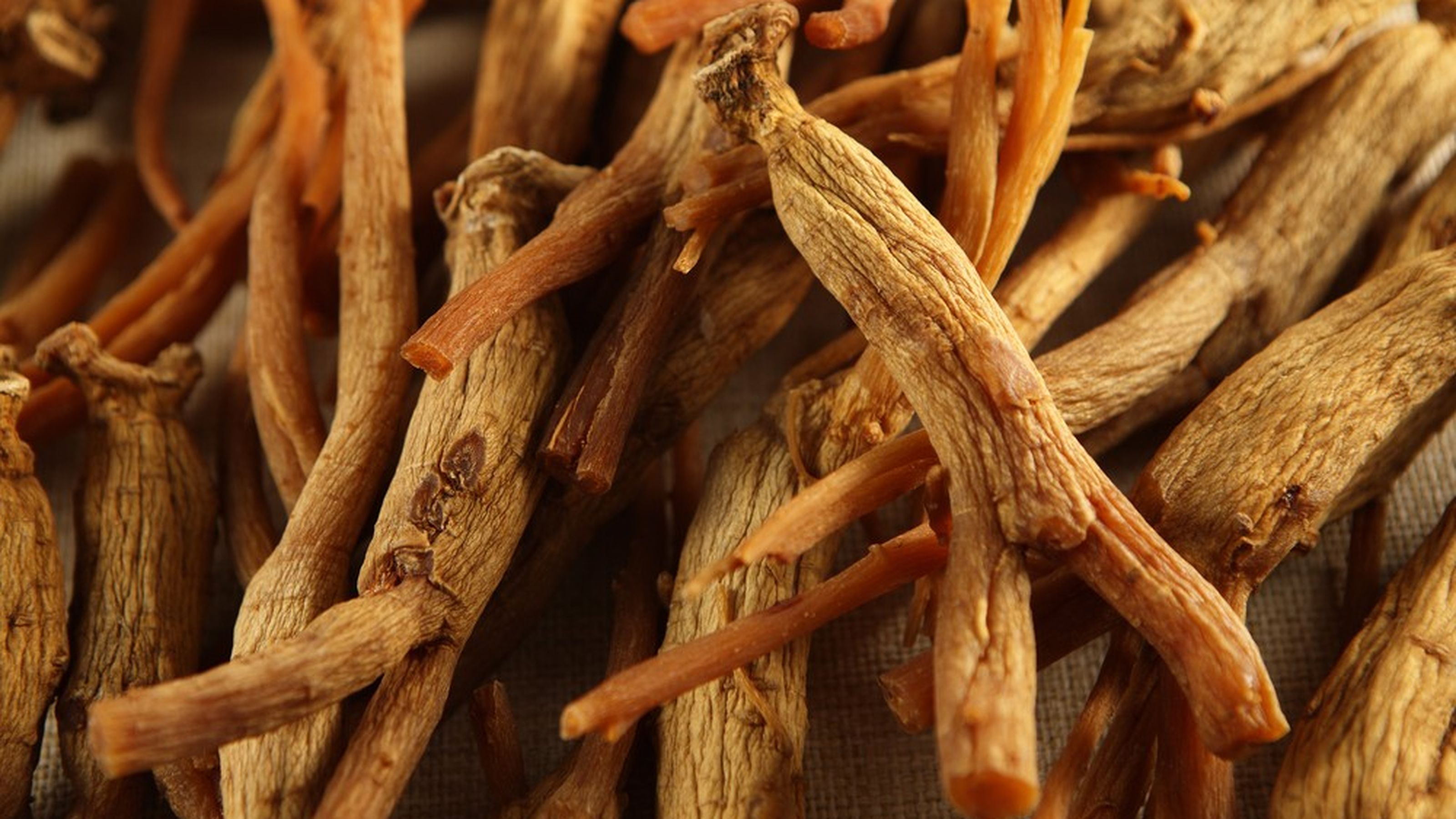 ginseng