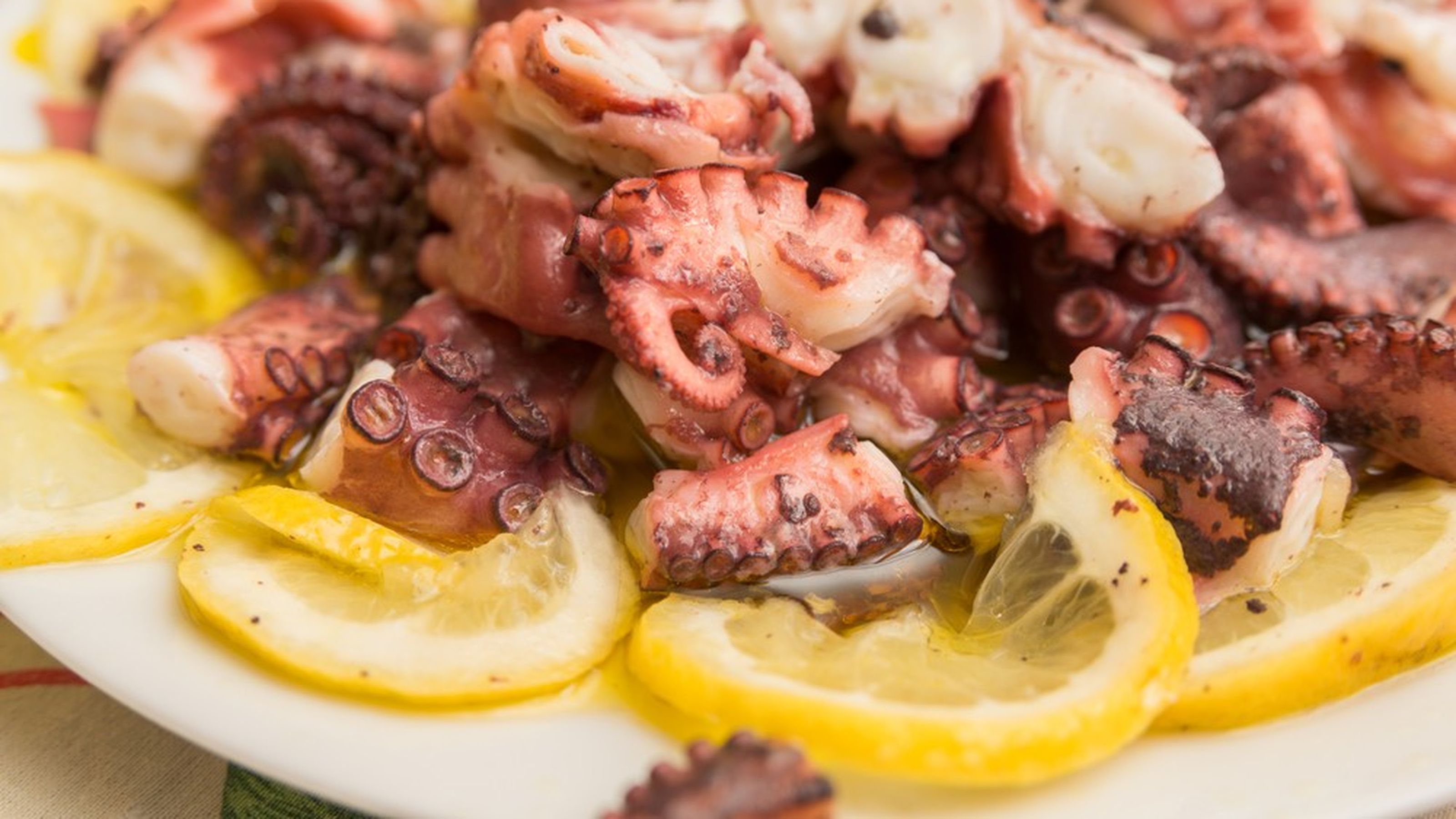 polpo bollito