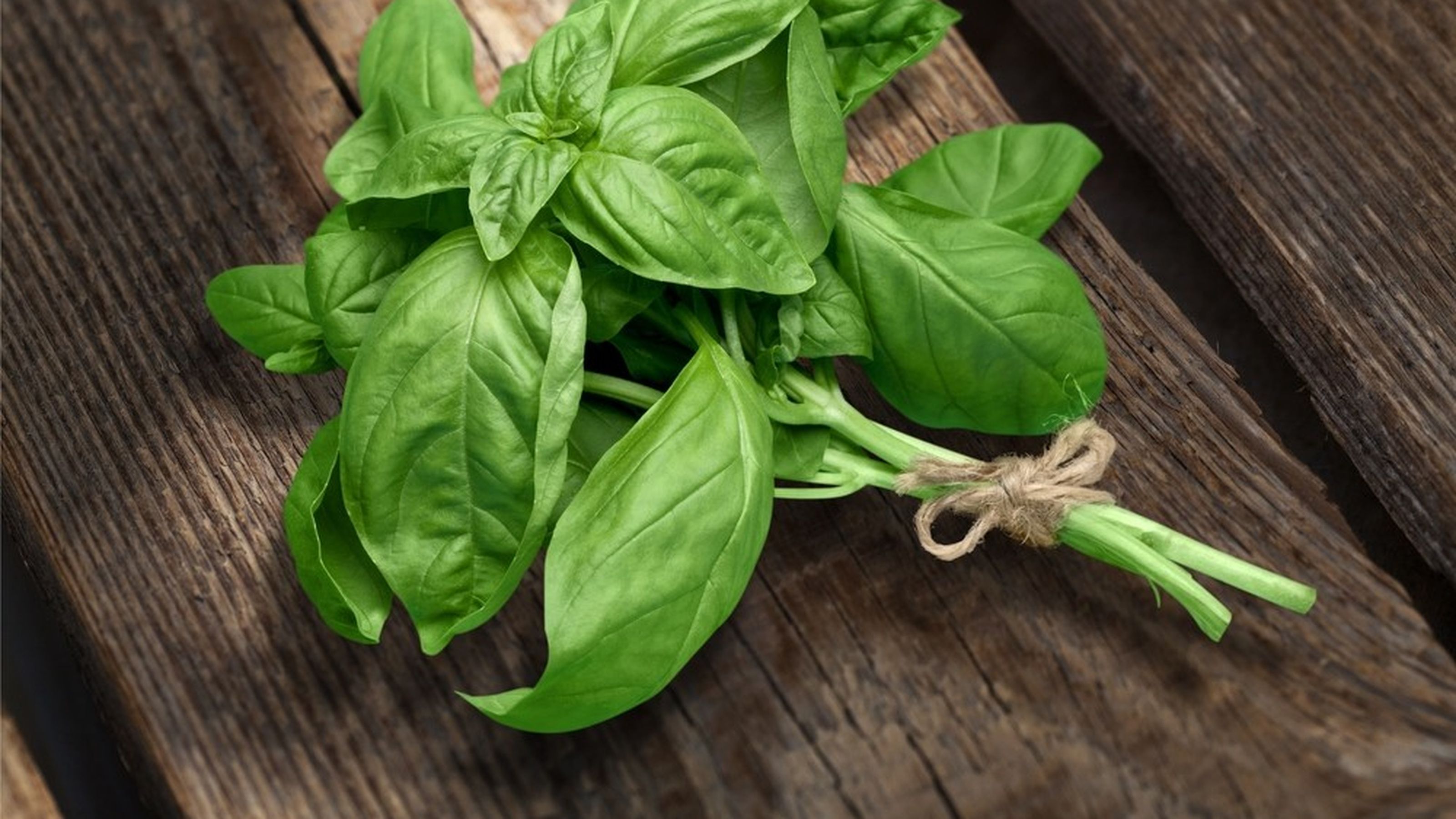 basilico