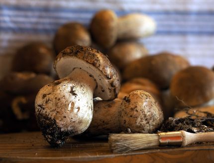 Come pulire i funghi