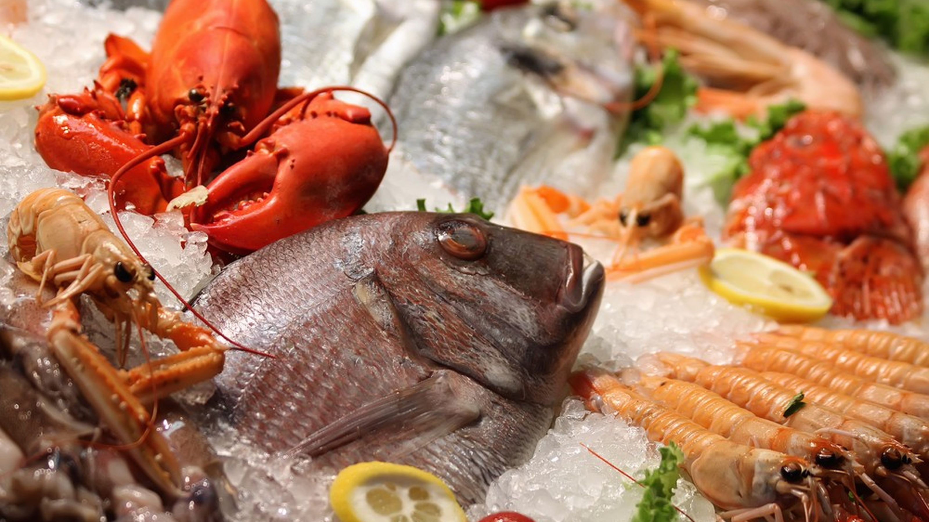 crudi di pesce