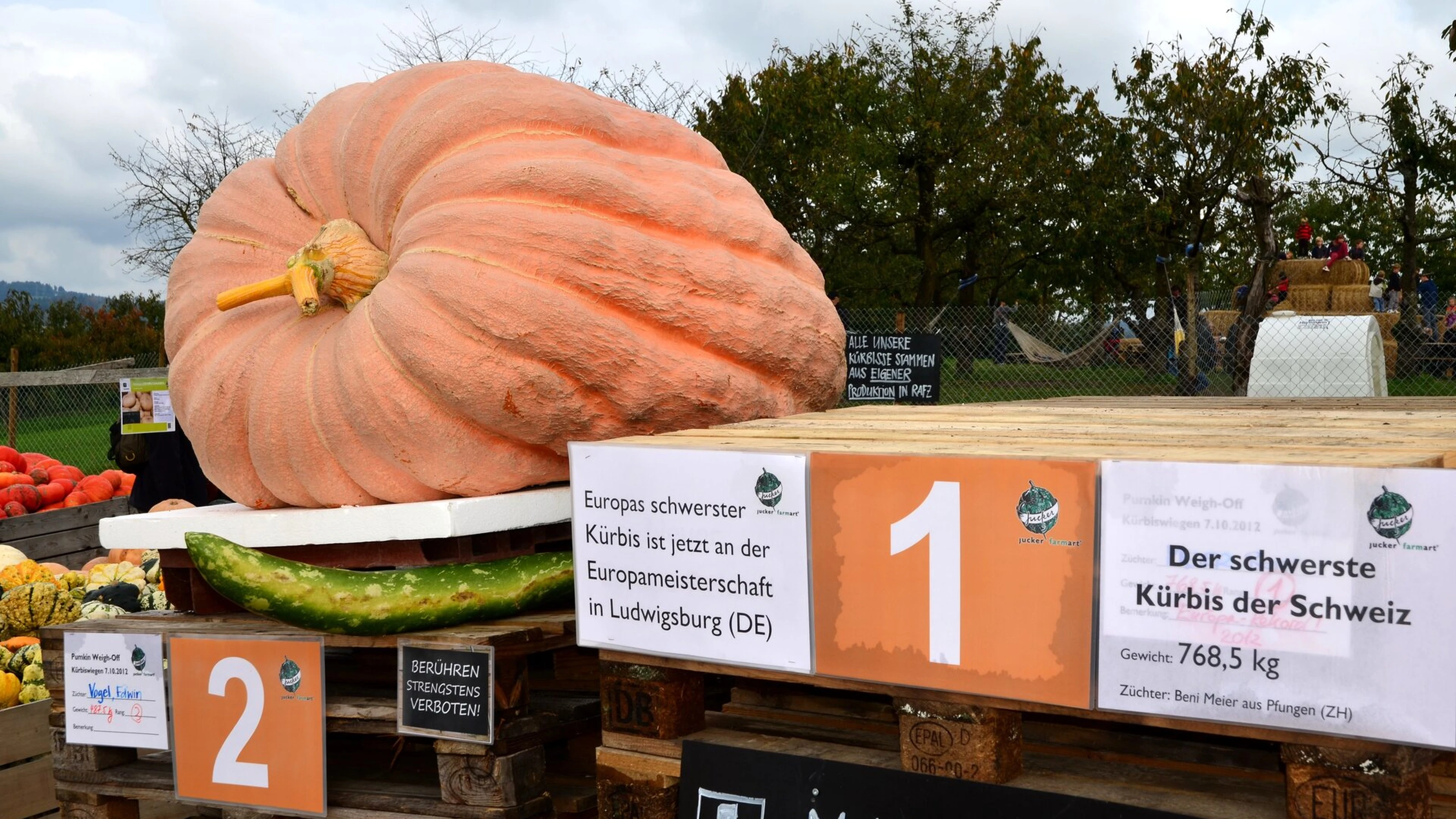 superzucca