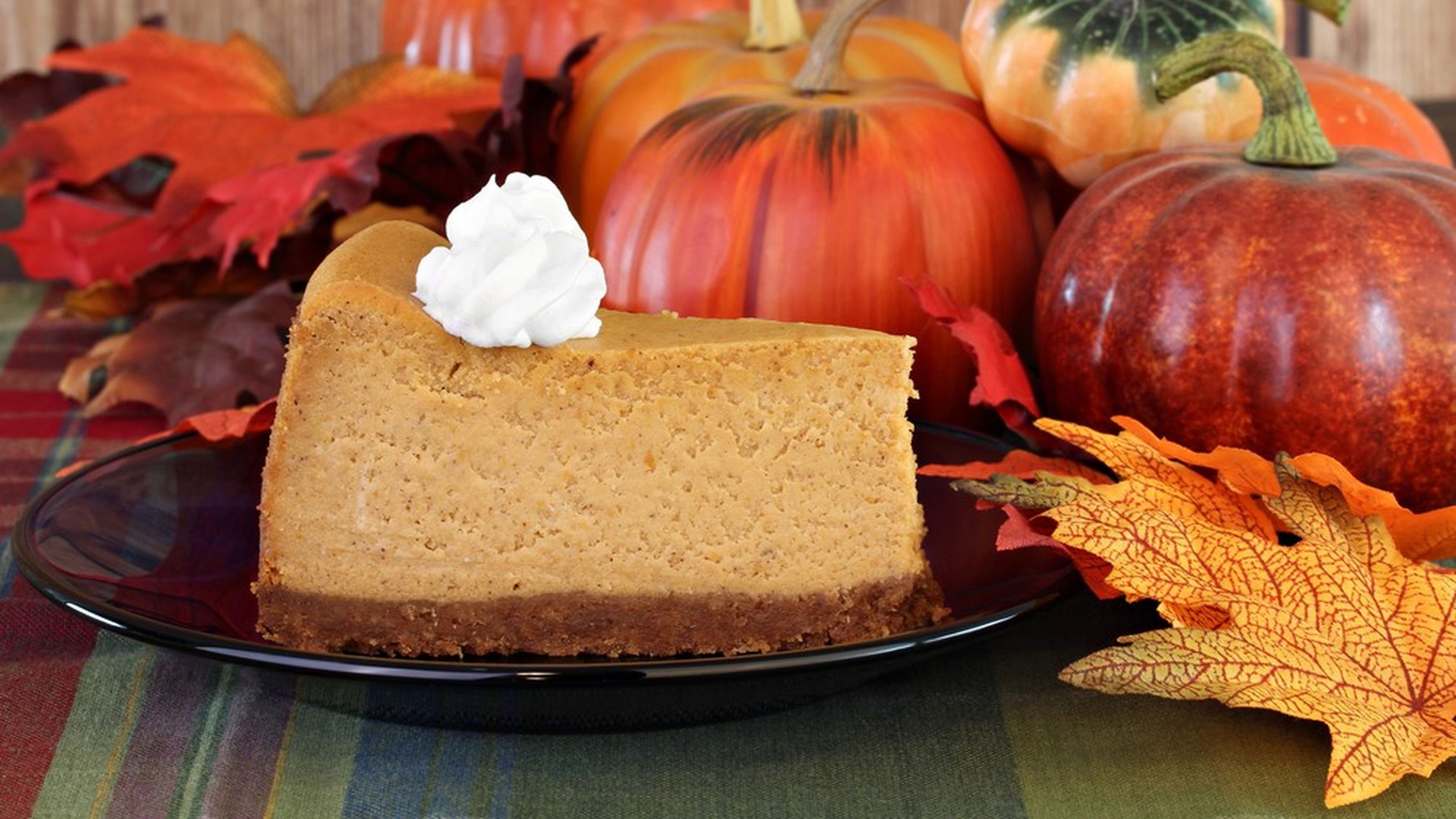 cheesecake alla zucca