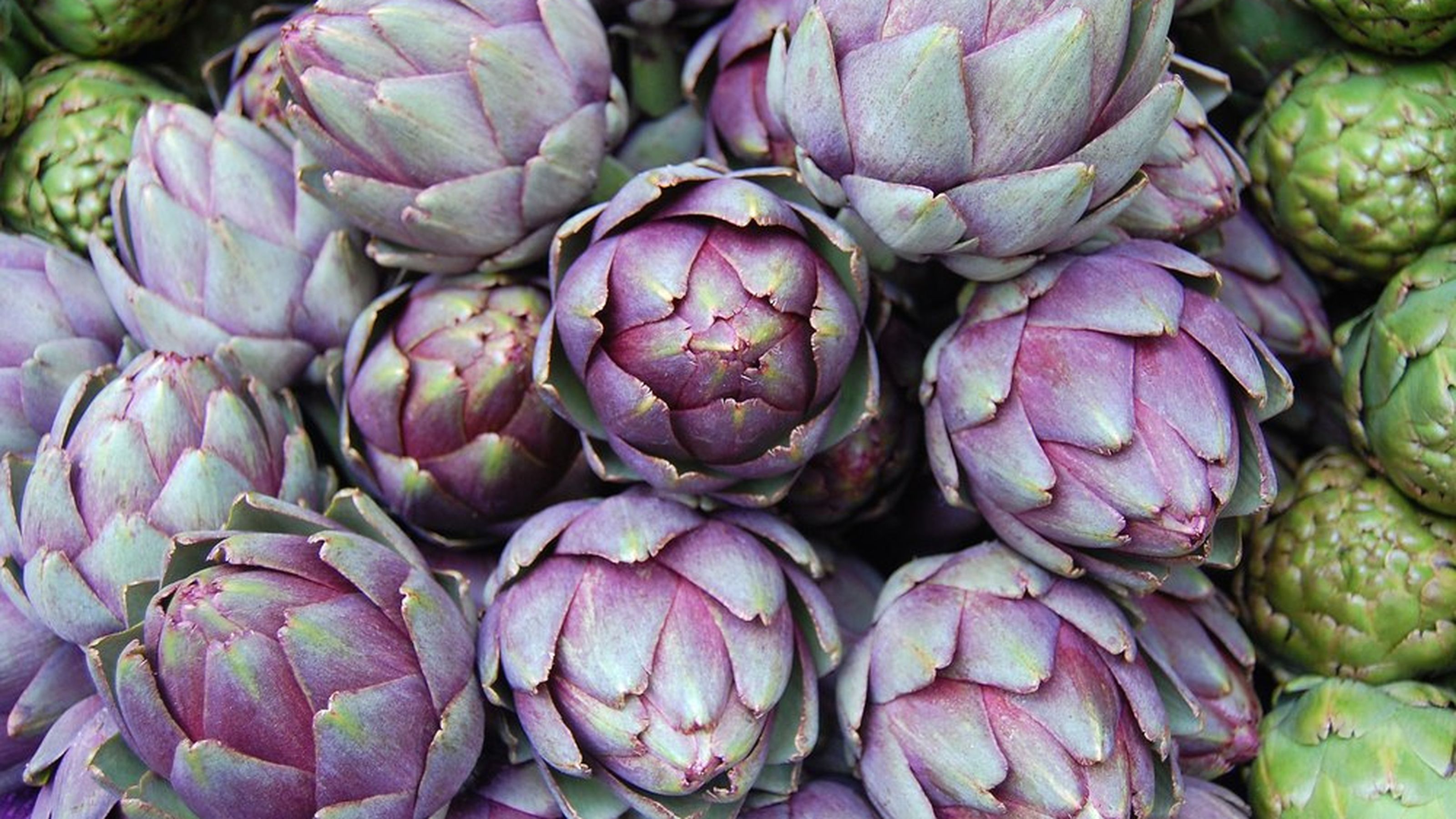 Agrodolce