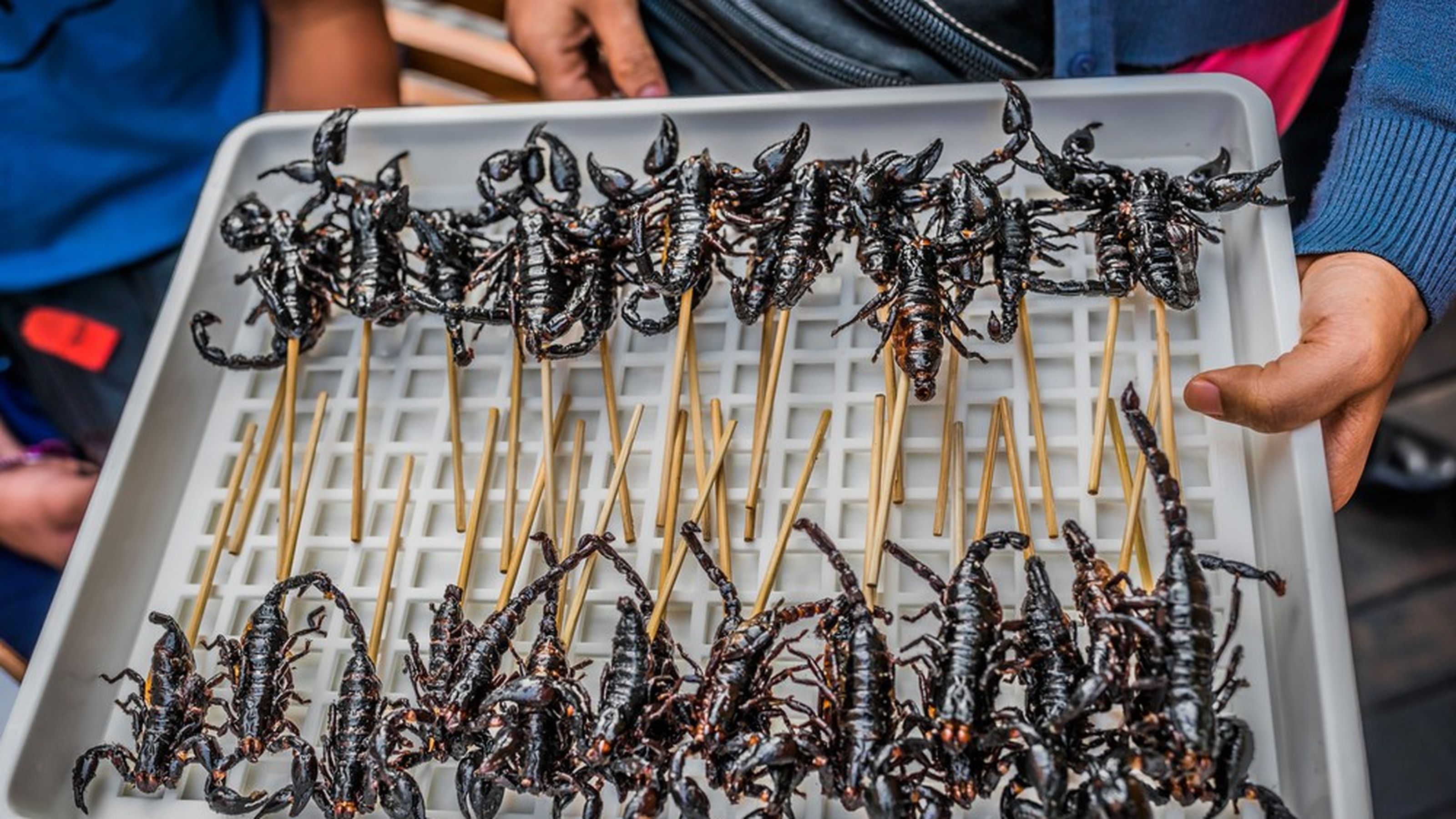 scorpioni