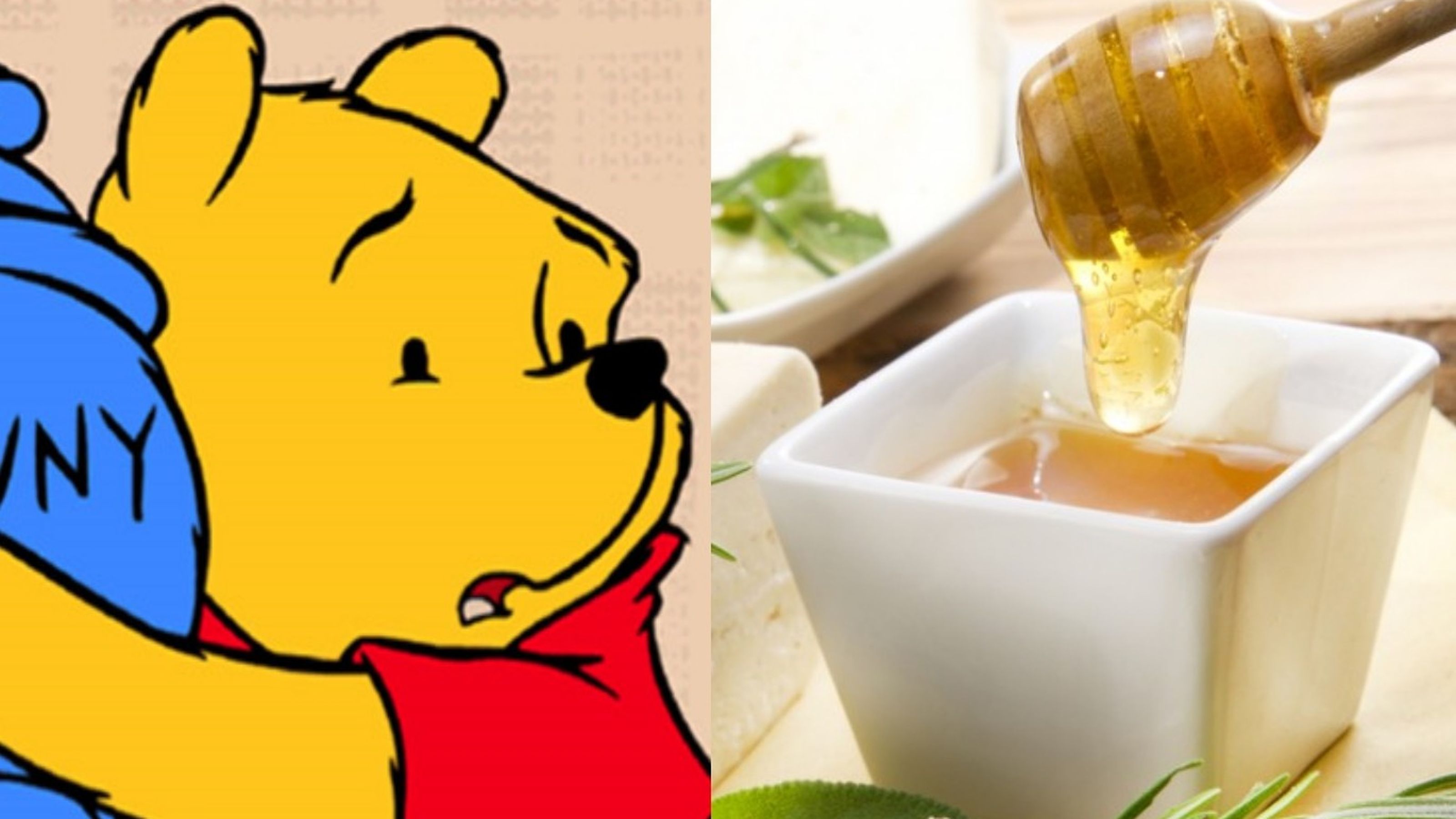 Winnie Pooh