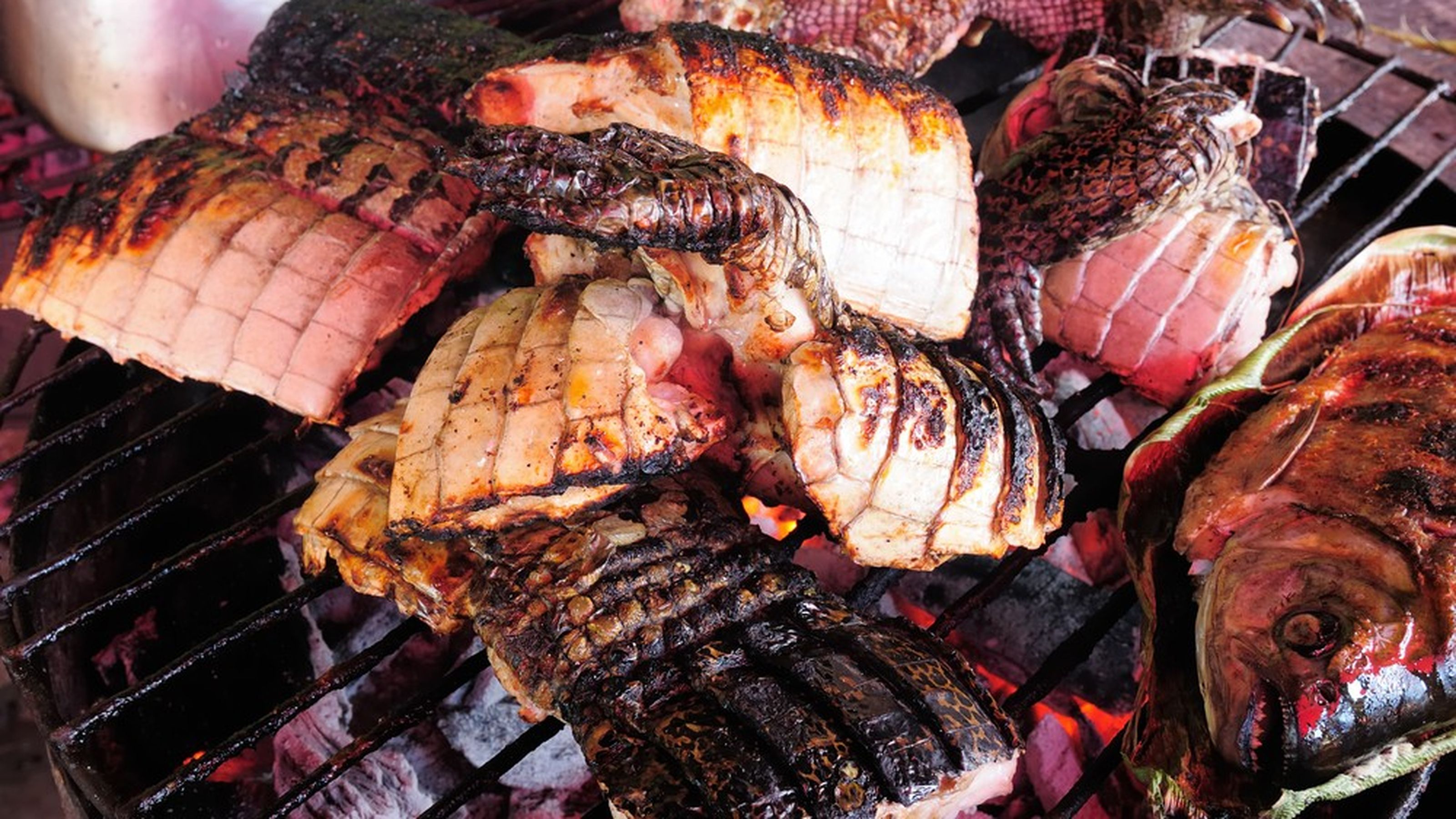 carne di coccodrillo