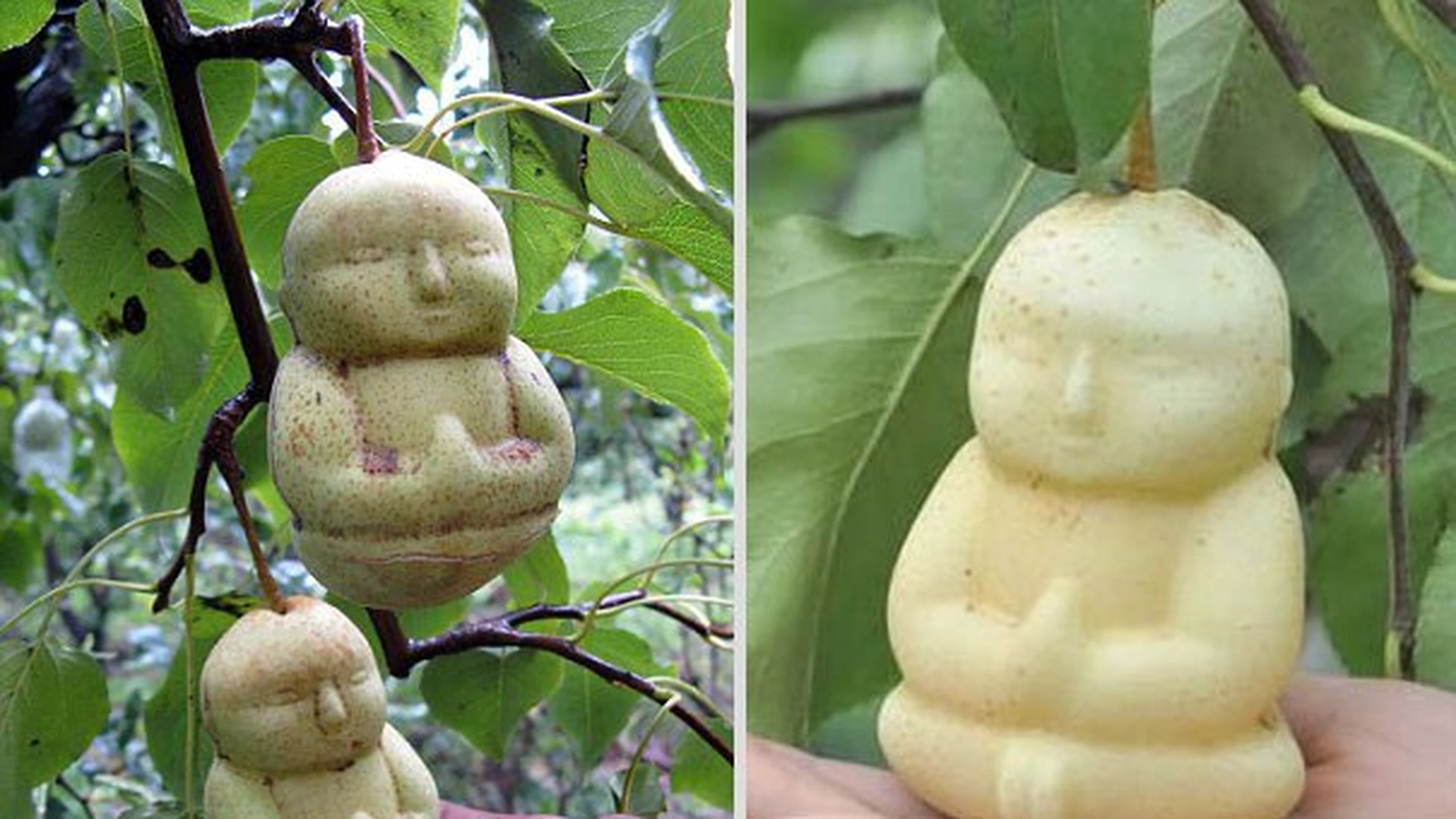 pere_budda