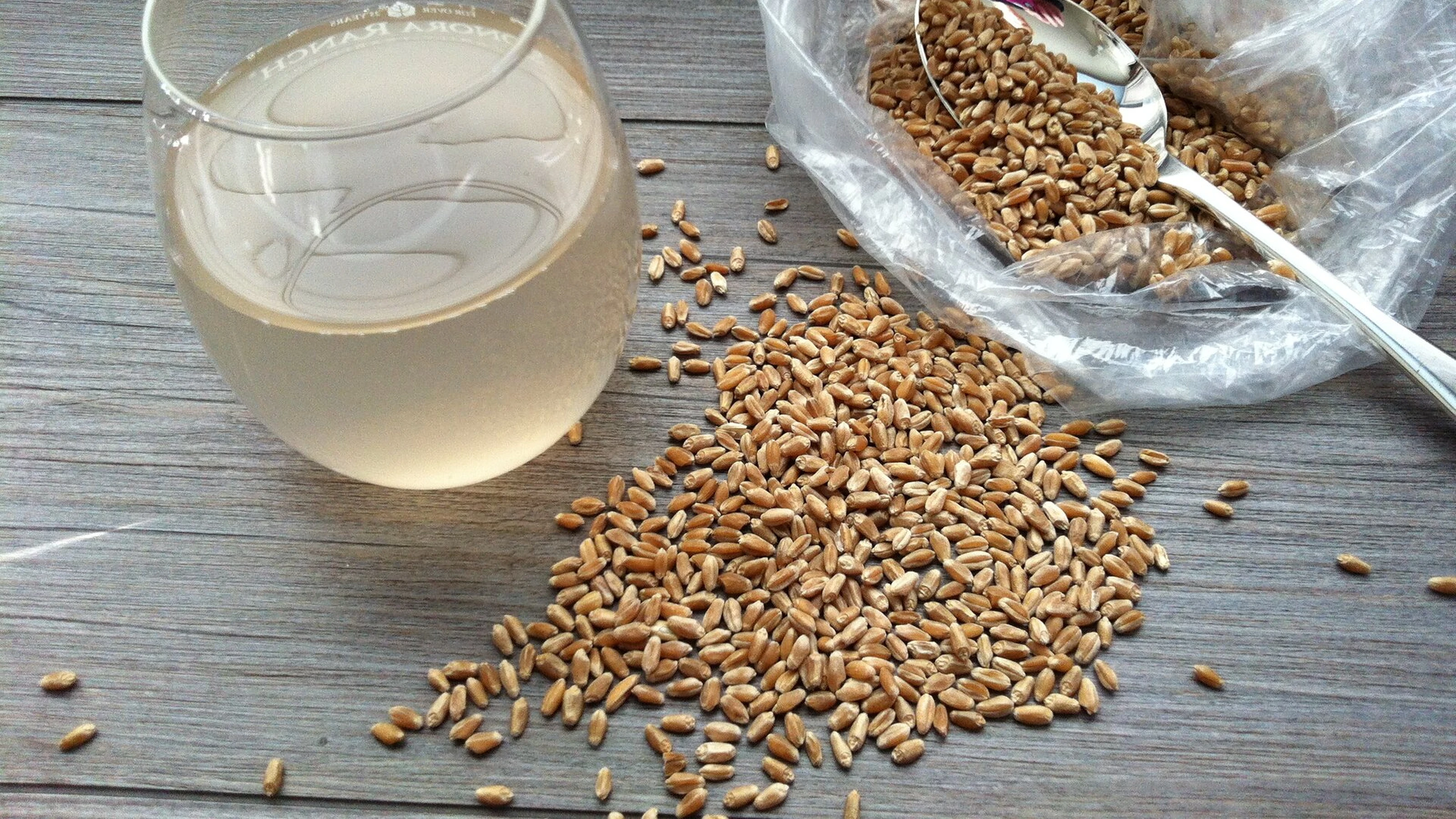 rejuvelac1