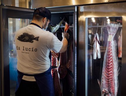 da lucio frollatura del pesce
