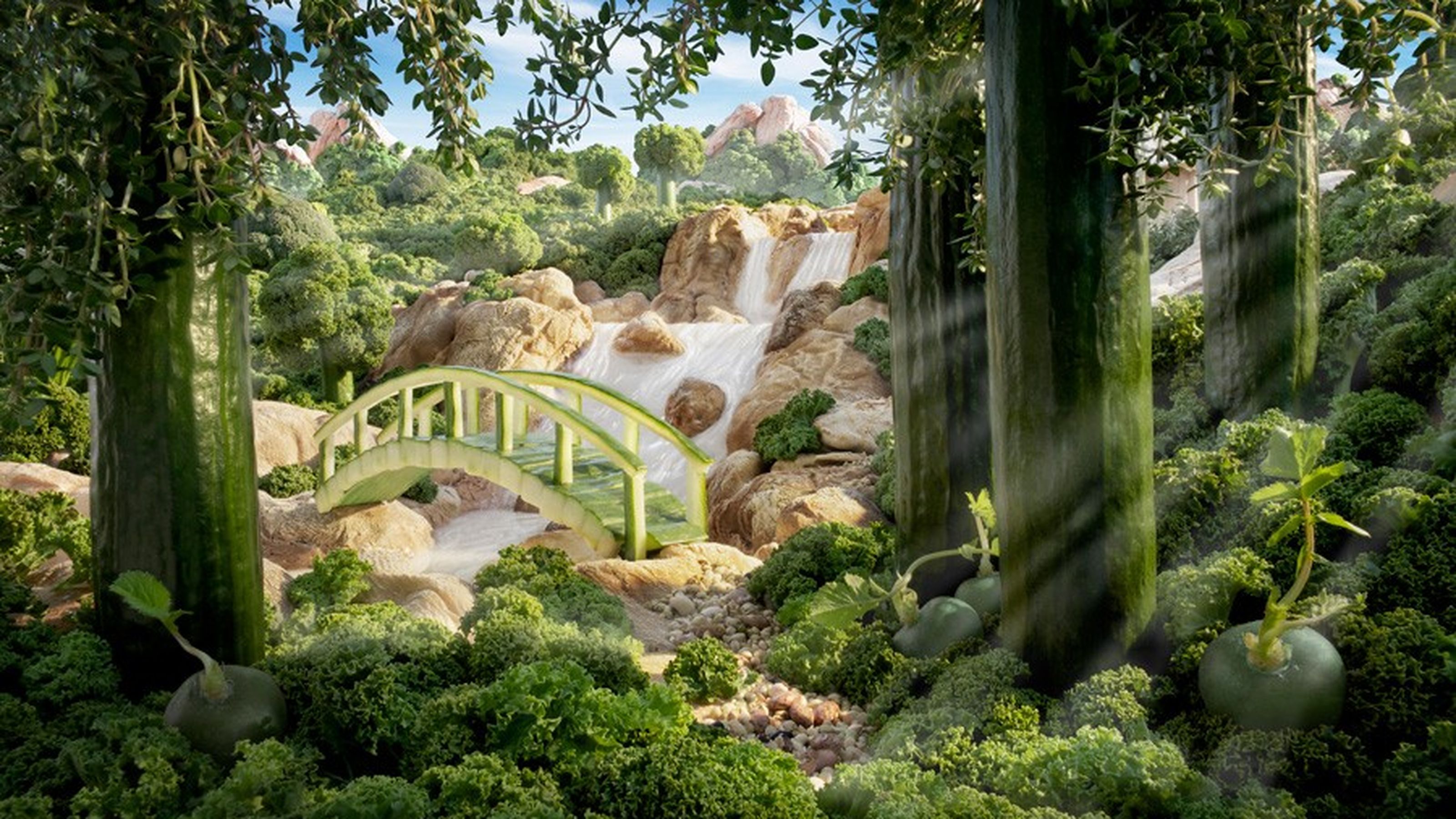 Ponte di cetriolo