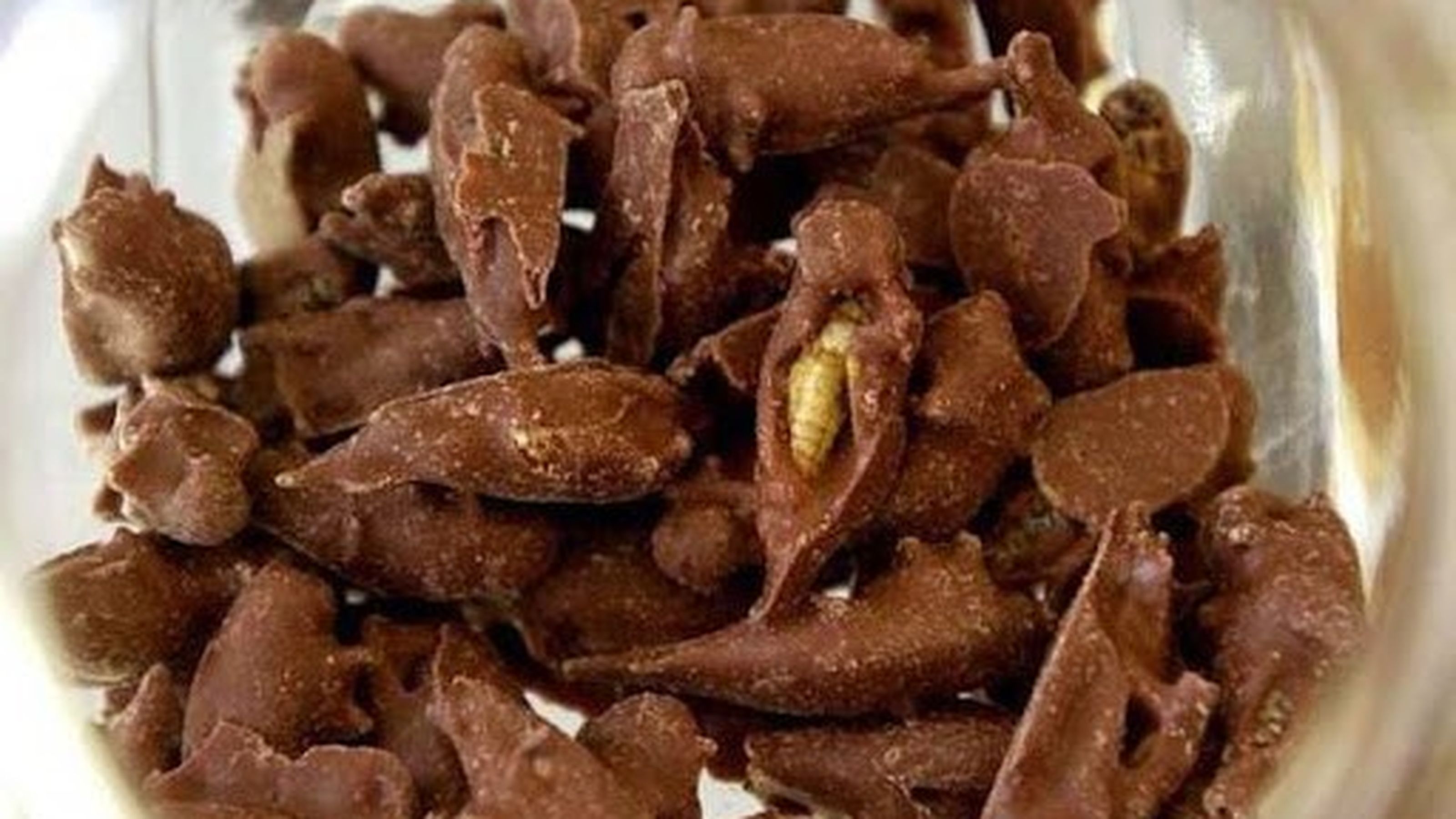 grilli al cioccolato