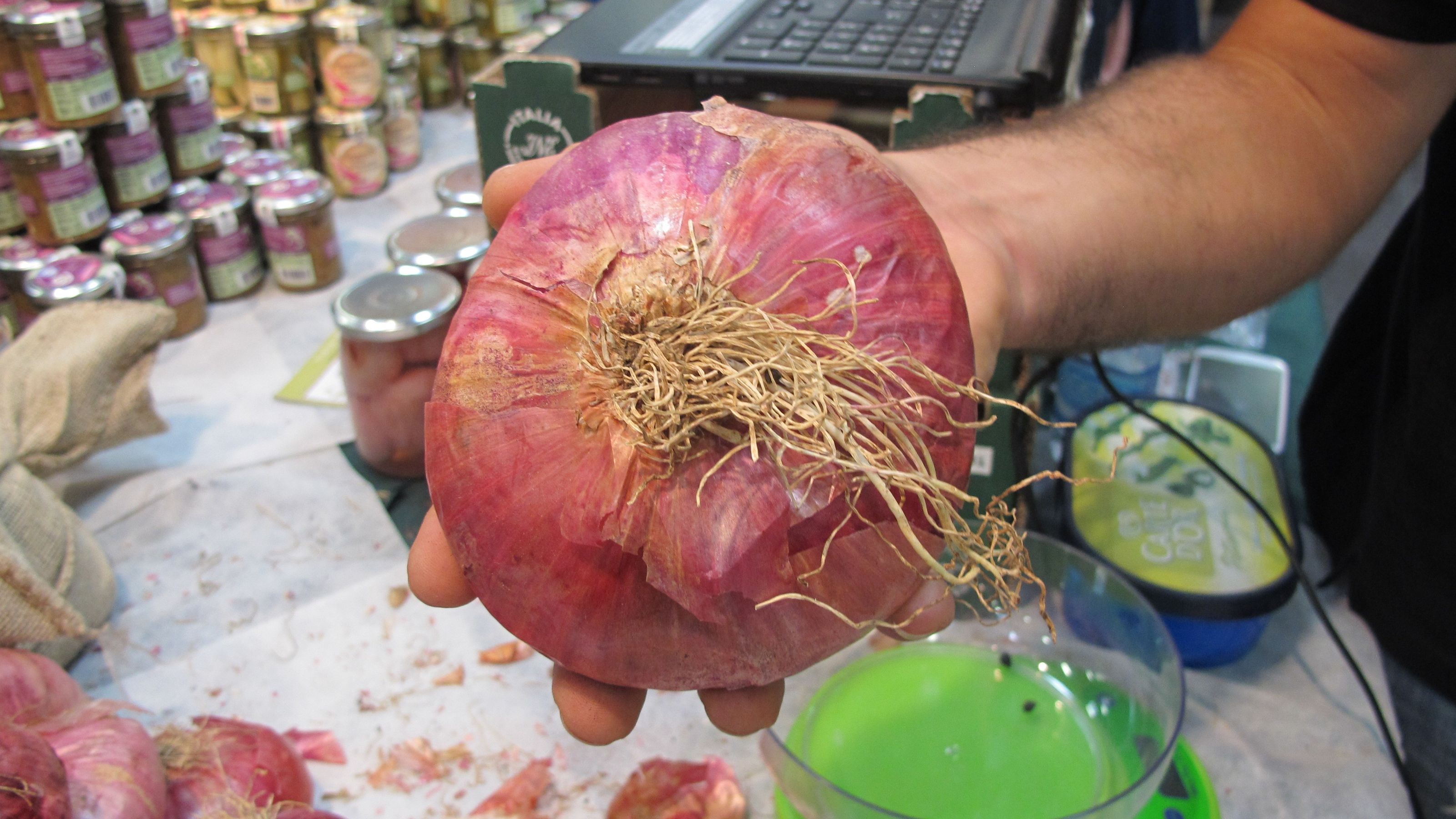 Cipolle rosse di Acquaviva