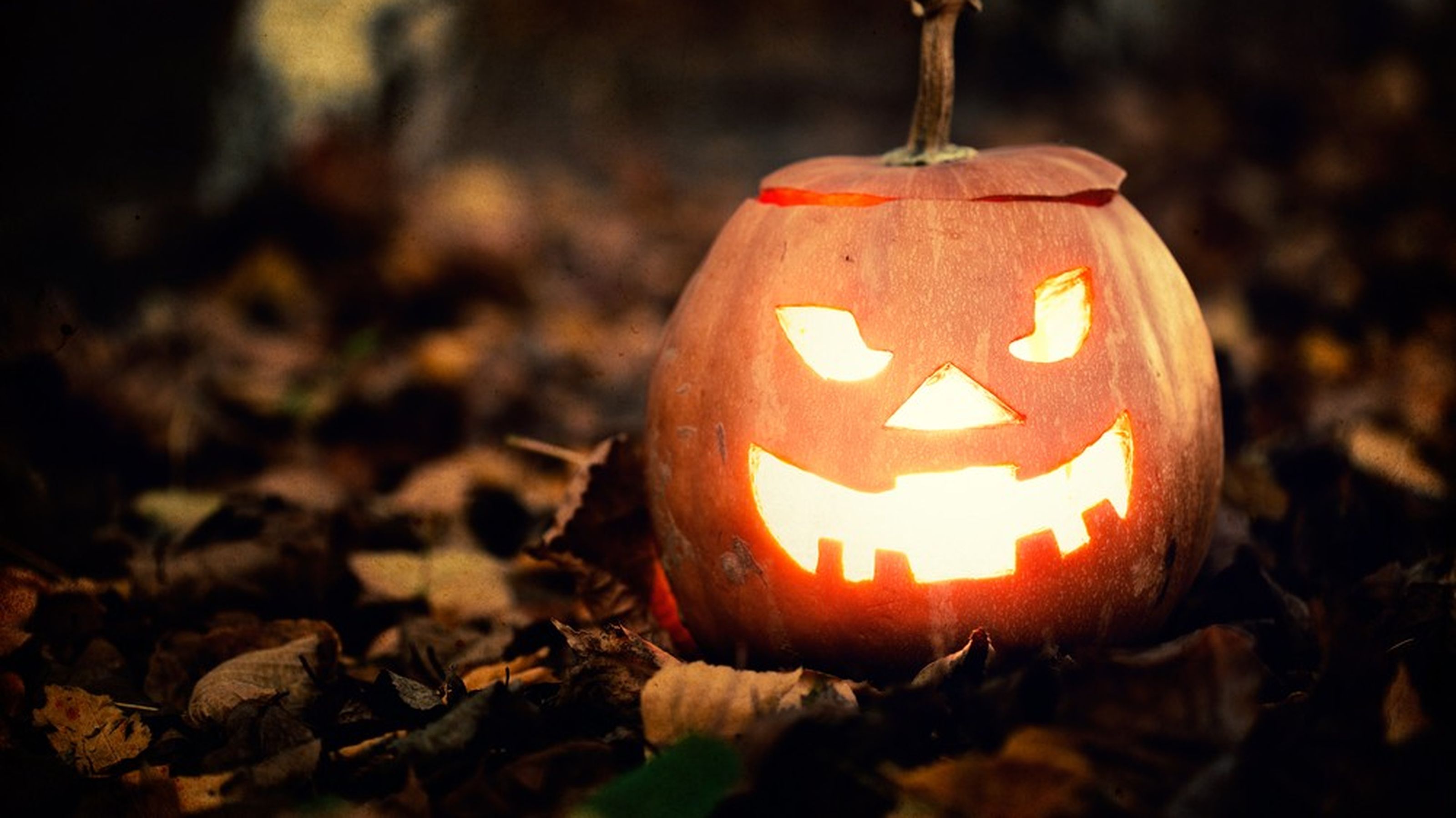 Halloween zucca