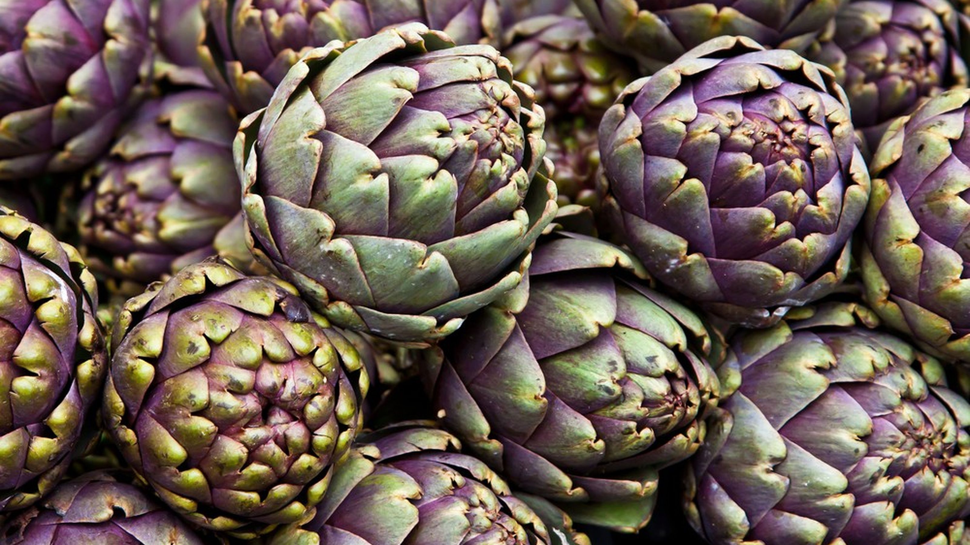 carciofi